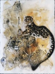 Snow Leopard Composite